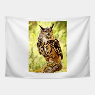 Eurasian Eagle Owl Tapestry