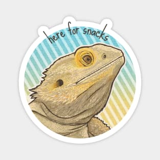 Bearded Dragon Snacks Magnet