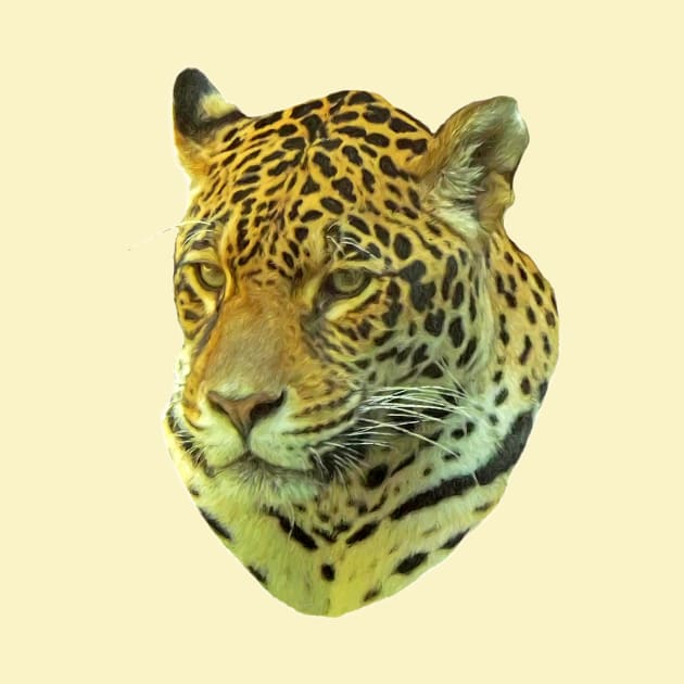 Jaguar portrait by Guardi