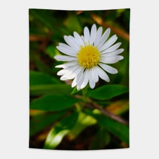 Tiny Daisy-Light Tapestry