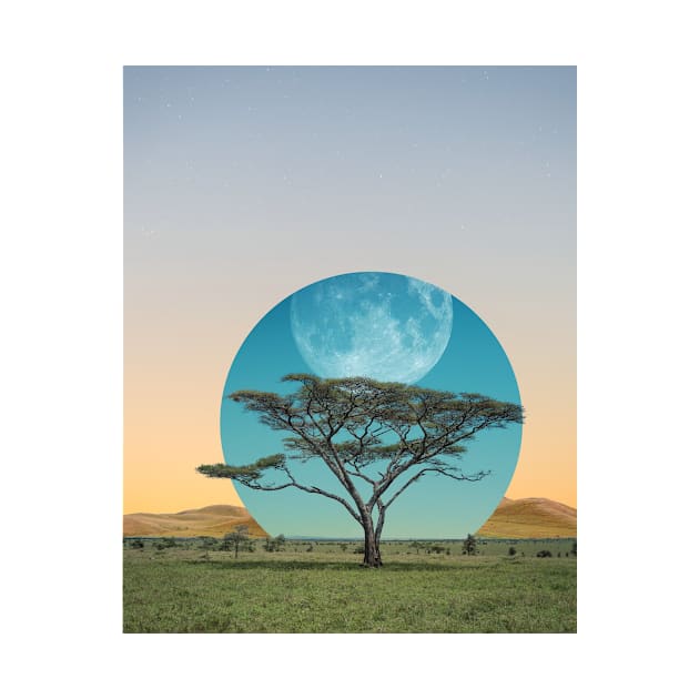 Moon Tree by Aaron the Humble