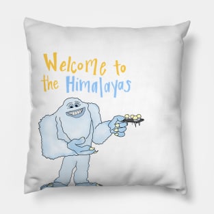 Welcome to the Elements Pillow