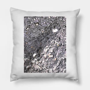 Earth Form Pillow