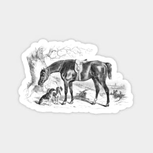 Horse & Hounds Black and White Illustration Magnet