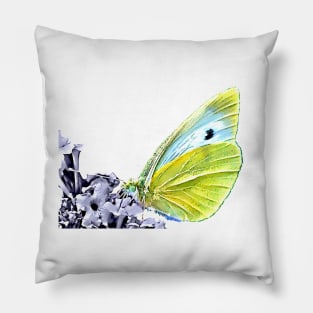 Cabbage White Close Up Pillow