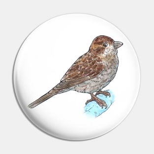 House Sparrow Pin