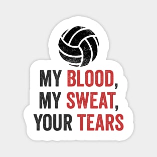 Volleyball Gift My Blood My Sweat Your Tears Magnet