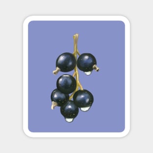 Blackcurrant Life Magnet