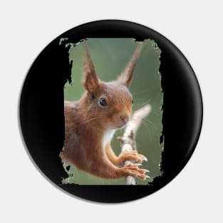 Squirrel Pin