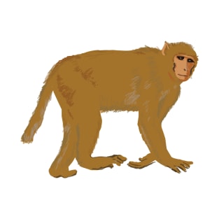 Baboon Monkey T-Shirt