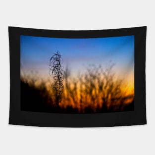 Winter Sunset Silhouettes Tapestry