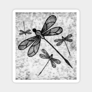 Beautiful dragonflies in black and white Magnet