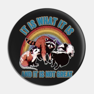 It Is What It Is And It Is Not Great Funny Raccoon Meme Pin