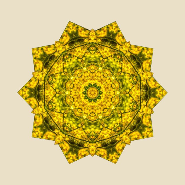 Golden Star Mandala by PhotosbyHealy