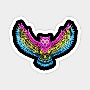 Pan Owl Magnet