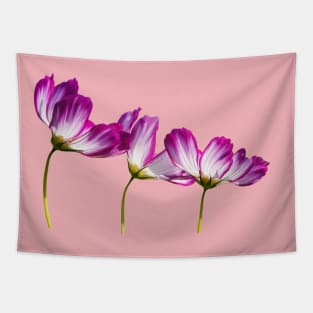 Pink flowers Tapestry