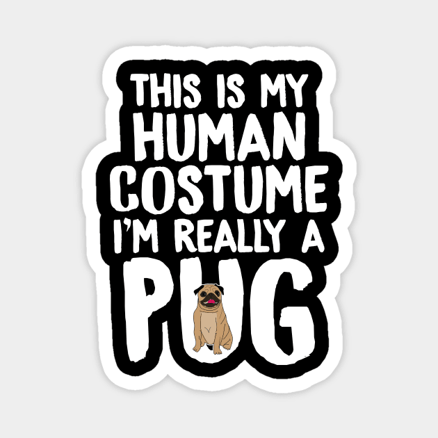 This is my human costume I'm really a pug Magnet by captainmood