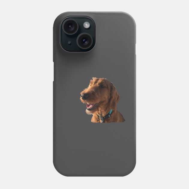 Goldendoodle Smile Phone Case by AR100AR