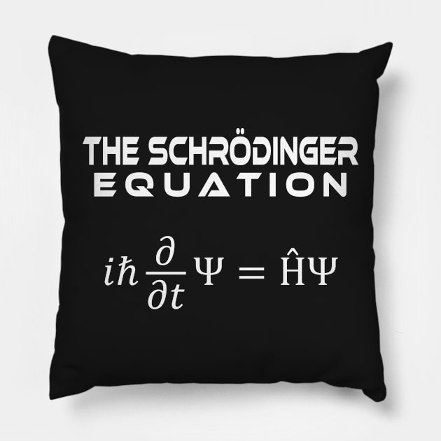 the Schrödinger Equation Pillow by ScienceCorner