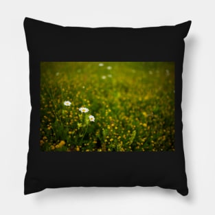 Wild flowers in a field Pillow