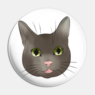 Miaow Pin