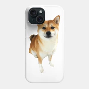 Lilly the Shiba Inu Sitting Down Phone Case