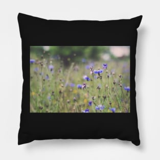 Cornflowers Pillow