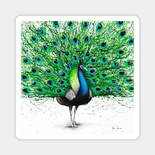 Pavo Indigo Magnet