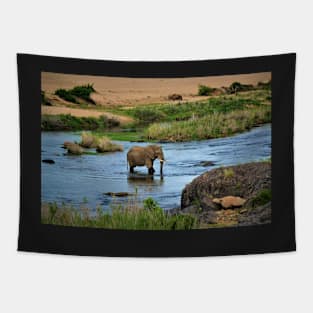 Elephant in the Crocodile River Tapestry