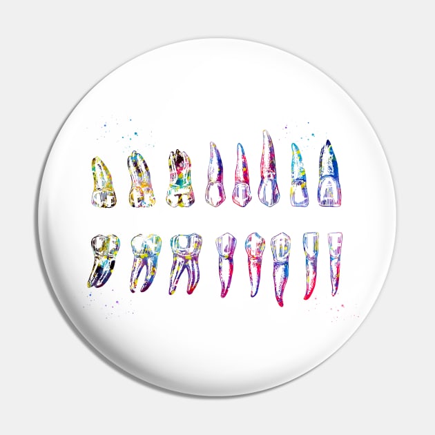 Teeth Diagram Pin by erzebeth