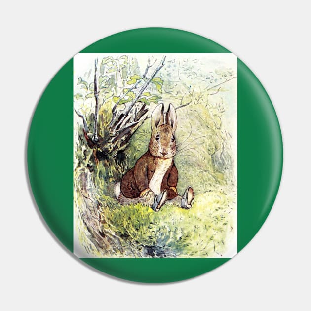 Benjamin Bunny - Beatrix Potter Pin by forgottenbeauty