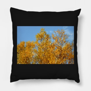 Aspen in Autumn Pillow