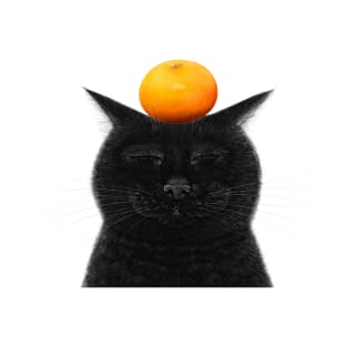 Black cat with tangerine T-Shirt