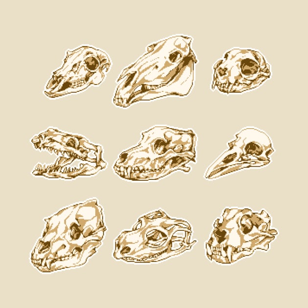 skull by moawling
