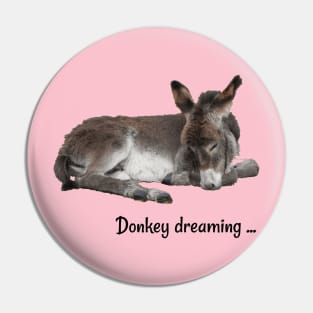 Cute Donkey Dreaming Pin