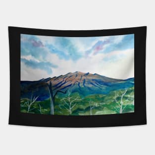 Volcan Boquete Panama Painting Tapestry