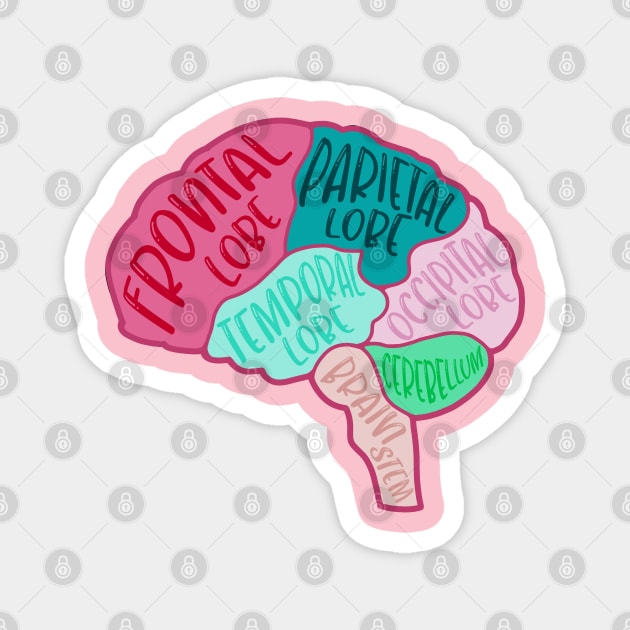 Anatomical brain - human brain Magnet by Dr.Bear