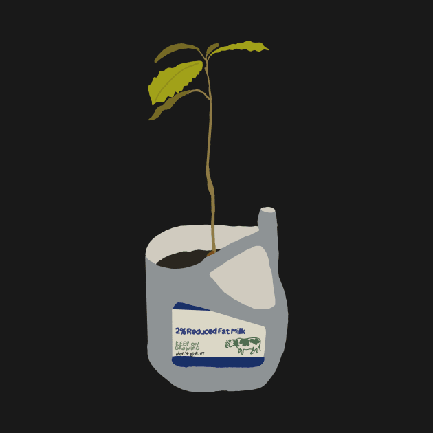 Avocado plant by gremoline