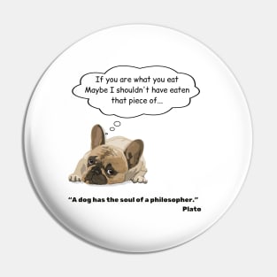 Philosopher dog Pin