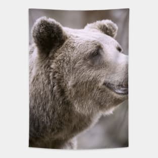 Bear Brown European Tapestry