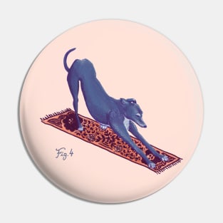 Downward Facing Greyhound Pin