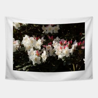 White rhododendron flower Tapestry