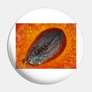 Strawberry "seed" (achene) under the microscope Pin