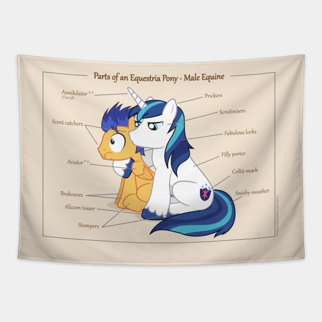 Pony Anatomy - Male Equine Tapestry by judacris