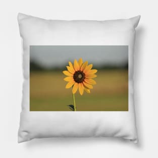 Kansas Wild Sunflower with a green background with sky. Pillow