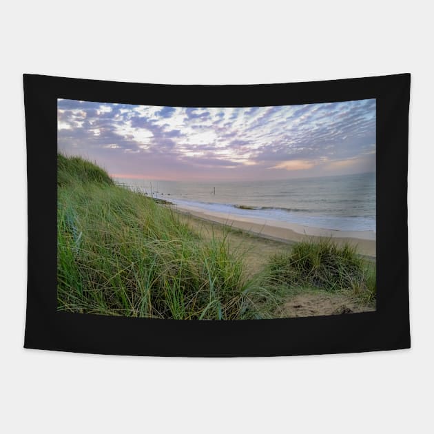 Cart Gap beach in Norfolk from the dunes Tapestry by yackers1