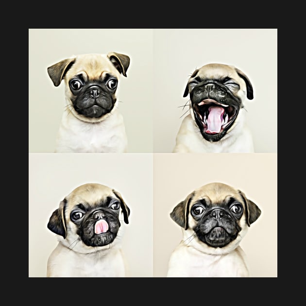 The Four Faces Of Pug by cameradog