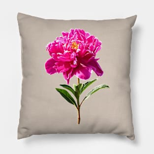 Vivid Pink Peony Pillow