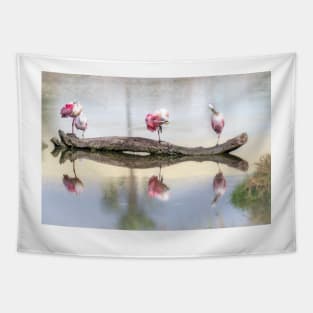 Roseate Spoonbills Preening and Resting Tapestry