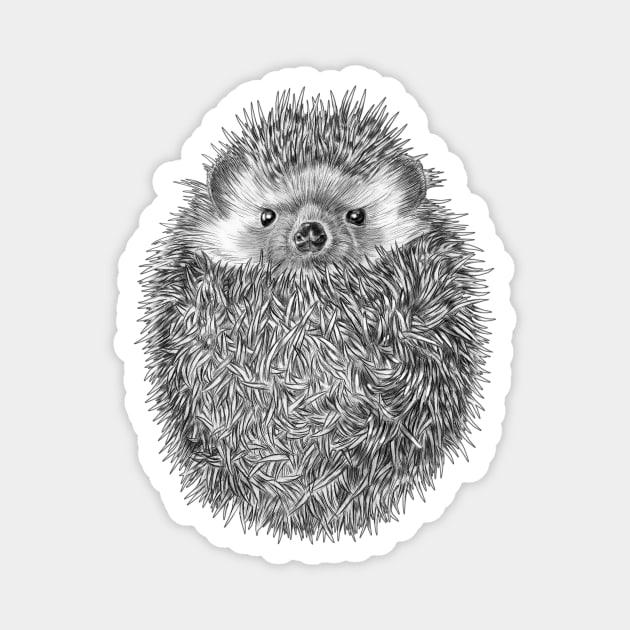 Hedgehog Magnet by Tim Jeffs Art